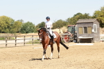 SBM_001642