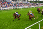 230824-Race 7-Treasure Time-0188
