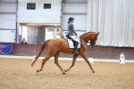SBM_000925
