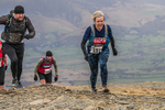 Coledale-970