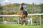 Guernsey Race Club Horse Racing 2018-30