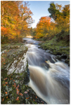 Autumn at Roe Valley Country Park (IMG0692)