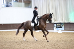 SBM_008900