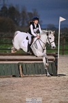 90-95cm Arena Eventing portfolio