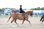 SBM_17079