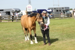 SBM_02169