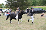 WJ6_5543