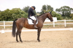 SBM_008654