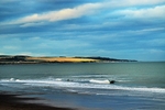 Golden Field On The Coast
