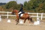 SBM_013746