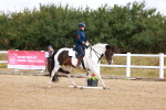 SBM_009677
