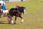 Harness Driving Challenge 34. 0A3A9518