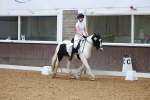 SBM_009297