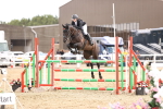 SBM_003694