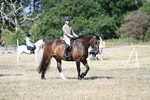WJ7_3358