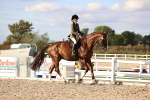 SBM_18303