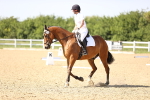 SBM_010245