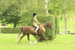 SBM_74979
