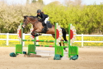 Class 3 - Senior Discovery - 1.00m portfolio