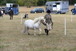 WJ6_5942