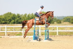 SBM_000648