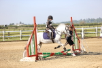 SBM_000135
