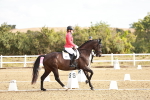 SBM_008696
