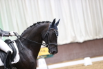 SBM_010200