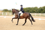 SBM_006019