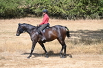 WJ7_8610