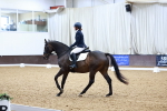 Class 17 - Novice 5 portfolio