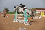 240511A-084807-10790_Cls 32 Foxhunter