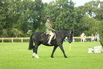 SBM_44861