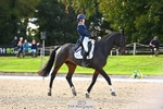 358-ROYALE.MESSENGER-Anna.Singer-DR portfolio