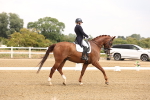 SBM_005894