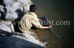 Recovering Mahseer.