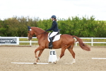 SBM_000535