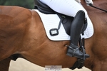 110-Zoe_Porter-Lariats_Point portfolio