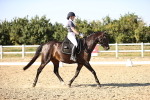 SBM_007653
