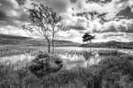 Kelly Hall Tarn 01