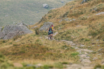 Peris Horseshoe-207