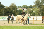 SBM_68832
