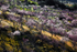 Mountain Light 02