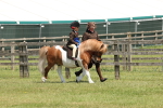 SBM_05399
