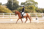 SBM_016917