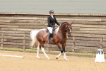 SBM_001915