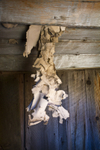 Bodie-14