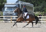 BPP_5358