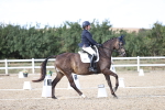 SBM_016115