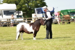 SBM_01997